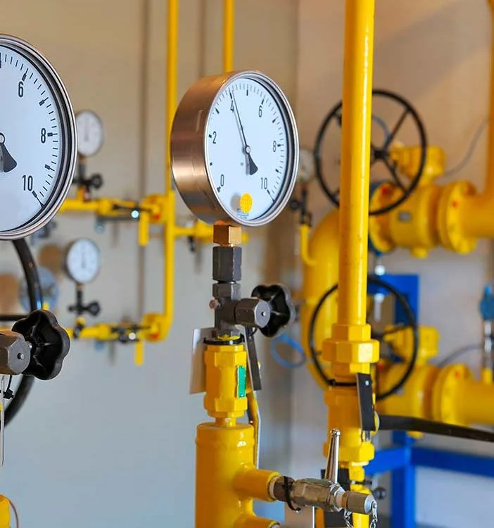 Quando esse serviço é indicado